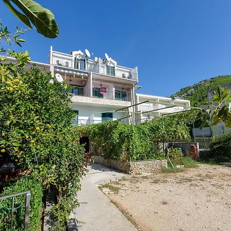 Zoran * Drvenik (Split-Dalmatia)